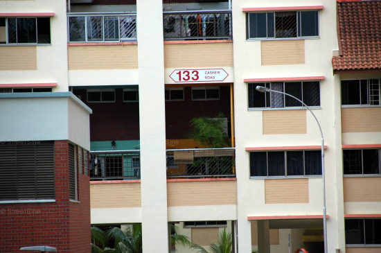 Blk 133 Cashew Road (Bukit Panjang), HDB Executive #219172